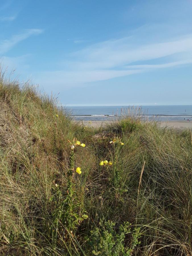 Vakantiestudio De Zeeparel De Panne Bagian luar foto